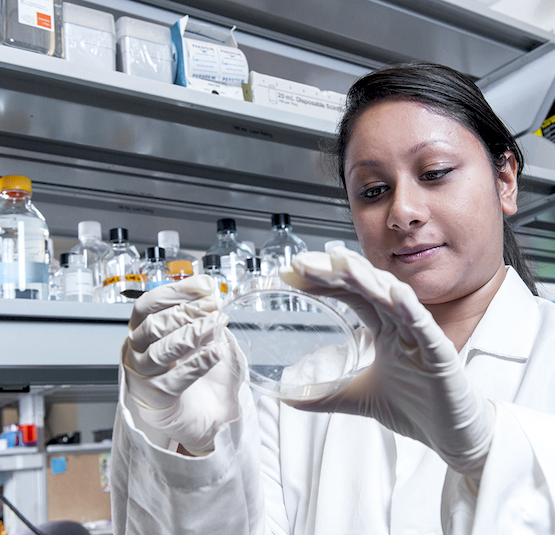 student researcher in a UIC bioengineering lab