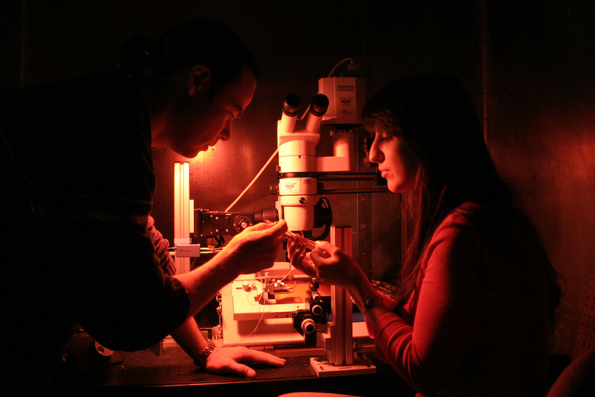 two people using a microscope