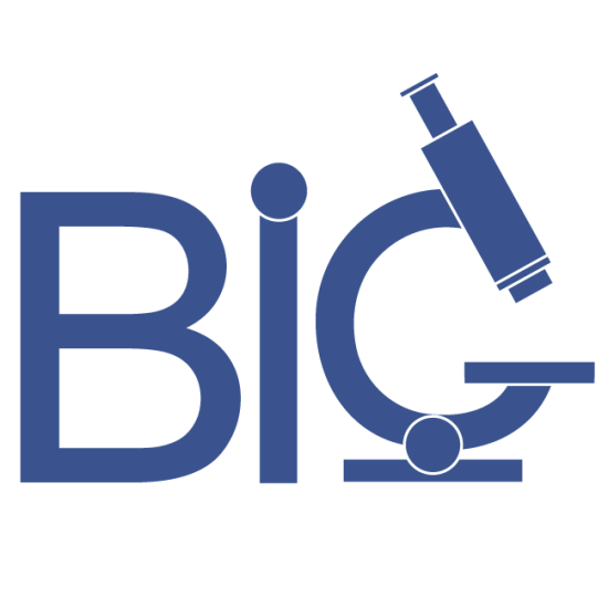 Biomedical Imaging Group logo