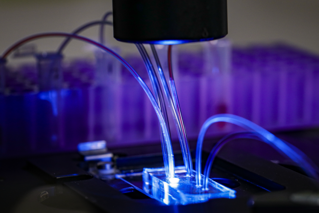 Microfluidic device