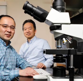 University of Illinois Chicago College of Engineering BIOE professor Zhangli Peng (L) and Dr. Peng Ji, Vice Chair of Research and Professor of Pathology at Northwestern, collaborate on a red blood cells project. 