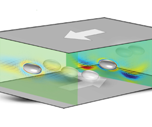 particles will shift away from the center in a two-wall microfluidic system as simulated in Lauricella and Naderi's research.